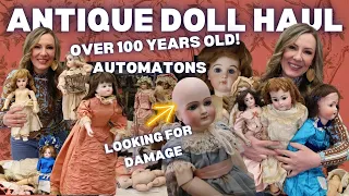 ANTIQUE DOLL HAUL | LEARN ABOUT OLD DOLLS | HOW TO CHECK FOR DAMAGE | JUMEAU FRENCH DOLLS #dollhaul