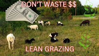 How to run a LEAN SHEEP GRAZING operation.