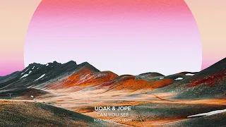 UOAK & Jope - Can You See (Soul Engineers Remix)