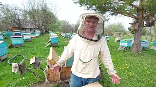 Пчеловодство№137Как правильно и своевременно расширить пчелосемью весной? Когда ставить корпус?