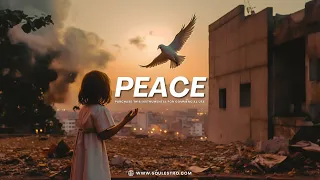 Afrobeat Type Beat "PEACE" | Sad Emotional Afro Type Beat 2023 | Free Afrobeat Type Instrumental