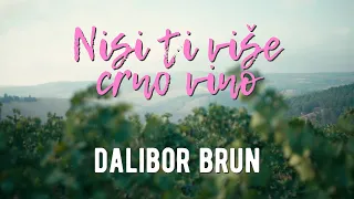 Dalibor Brun - Nisi ti više crno vino (Official lyric video)