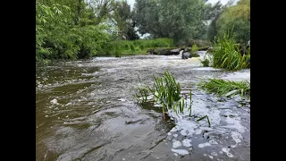 River nymphing in coloured water