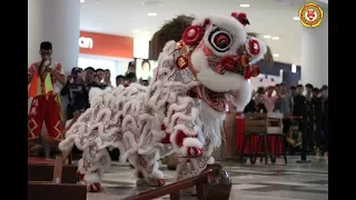 [Giải Lân Địa Bửu Sc Vivo City 2018] Tinh Anh Đường [liondance championship Sc vivocity]