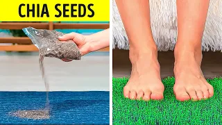 Clever Plant Hacks You Should Try || Genius Ideas For Your Garden