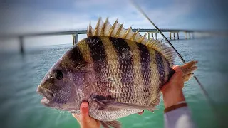 Early Spring Fishing at the CBBT (This Day Changed Everything!)