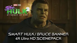 All Smart Hulk / Bruce Banner 4K ULTRA HD Scenes SCENEPACK | She-Hulk (Episode 9)