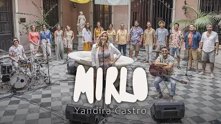 Yandira Castro / Mirlo
