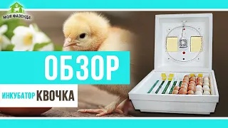 Бытовой инкубатор Квочка с механическим переворотом