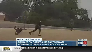 WATCH: K-9 officer takes down robbery suspect after police chase