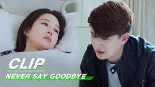 Clip: Yuanwen & Rong Yu Finally Reunite | Never Say Goodbye EP43 | 不说再见 | iQiyi