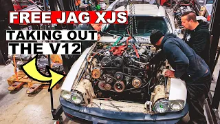 Removing My FREE Jaguar XJS V12 Engine For Something With Way More Power