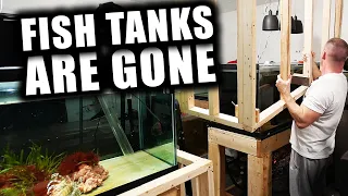 STARTING THE REAL AQUARIUM GALLERY! - The king of diy