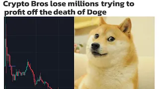 Doge Situation is Insane