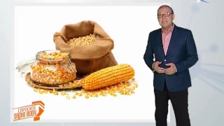 Спросите дядю Вову. Почему кукуруза не растет без человека