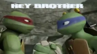 TMNT 2012~ HEY BROTHER (LEO & RAPH)