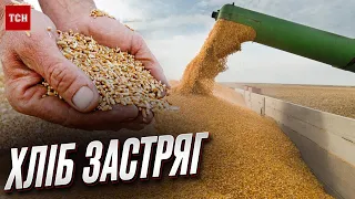 🛑 Зернова угода СТОЇТЬ. Світ мовчки спостерігає, як Росія тримає український хліб