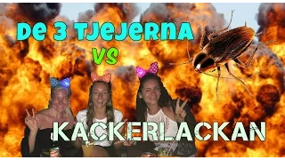 TRE TJEJER & EN KACKERLACKA DELAR RUM!!!