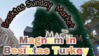Besiktas exploring tour I Sunday Market I Magnum Bar Suada di Kurucesme I Belediye Sitesi Mosque.