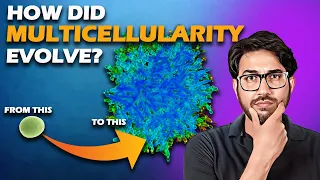 How did multicellular life evolve? | Evolution demonstrated in the lab | Arpit Explains