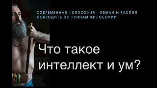 9 Философия. Что такое интеллект и ум.