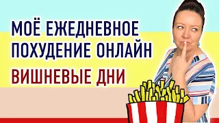 Обвинения в обжорстве. Ем сало на диете. Худею каждый день. Сбор вишни.