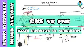 CNS vs PNS : Divisions of nervous system | Neurology 001|