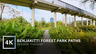 A Serene Afternoon in Benjakitti Forest Park | Virtual Walking Tour | Bangkok, Thailand