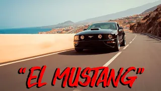 "El MUSTANG" / FORD MUSTANG S197