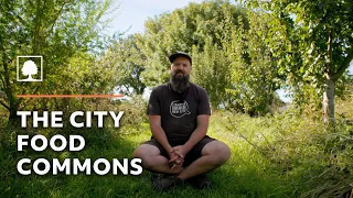 Growing an Urban Food Forest in a Public Park to Feed the Community! – The City Food Commons