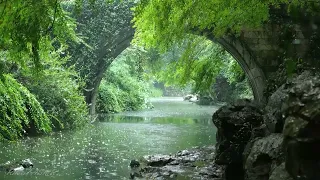 Rain by the river (9) , sleep, relax, meditate, study, work, ASMR