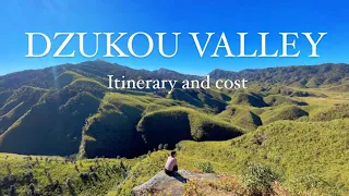 DZUKOU VALLEY Nagaland || Itinerary and cost