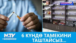 NewTV// 6 КҮНДӨ ТАМЕКИНИ ТАШТАЙСЫЗ...  АЗЫРКЫНЫН АЗАМАТТАРЫ