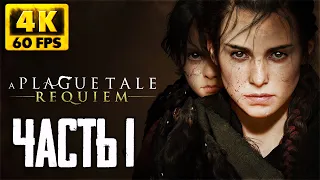 A Plague Tale: Requiem прохождение на русском #1 ► Релиз Геймплей Обзор и первый взгляд [4K]