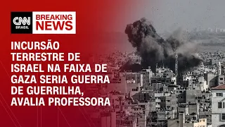 Incursão terrestre de Israel em Gaza seria guerra de guerrilha, avalia professora | BRASIL MEIO-DIA