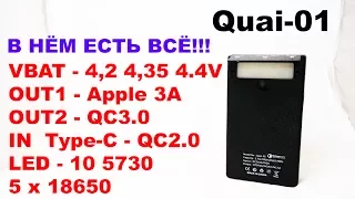 KIT Powerbank Quai-01 В НЁМ ЕСТЬ ВСЁ! QC3.0 / QC2.0 / Type-C / LED-5730 / PINGUAN 18W!!!