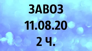 🌸Продажа орхидей. ( Завоз 11. 08. 20 г.) 2 ч. Отправка только по Украине. ЗАМЕЧТАТЕЛЬНЫЕ КРАСОТКИ👍