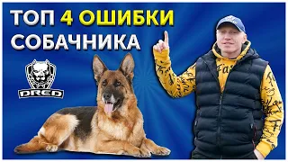 Топ 4 Ошибки собачника | Самые важные команды с собакой | Дрессировка собаки | Кинолог о наболевшем