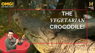 Meet Babiya the Crocodile who lived in a Temple & only ate prasad for meals #OMGIndia S01E10 Story 4