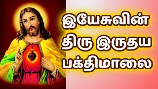 திரு இருதய ஆண்டவரின்  வணக்கமாதம் 7 | Novena to the Sacred Heart of Jesus | Tamil Bible Wisdom