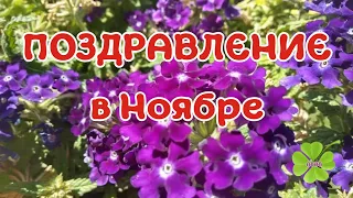 С ДНЕМ РОЖДЕНИЯ В НОЯБРЕ