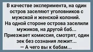 На Один Остров Заселили Уголовников с Мужской и Женской Колоний! Сборник Свежих Анекдотов! Юмор!