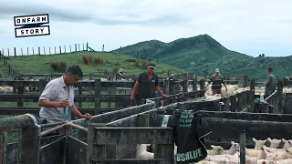 Training the Next Generation – Growing Future Farmers in New Zealand | On Farm Story