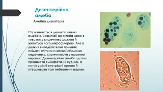 Біологія (6 клас).  Одноклітинні паразитичні організми. Вчитель: Крючек Лариса Анатоліївна