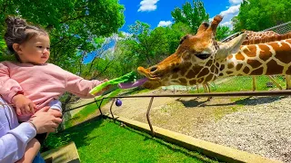 Oak Feeds Giraffes?! trapped in the zoo until we see ALL the animals!!