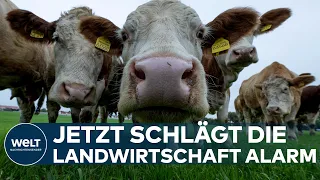 DEUTSCHLAND: Landwirtschaft schlägt Alarm! Medikamentenmangel trifft auch tierische Patienten