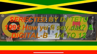 1995 How yu fi sey dat? 1/4 TO 12 SIMPLETON/RED ROSE/MALVO/COBRA/SHABBA RANKS/RED FOX REGGAE MIX