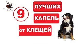 9 лучших капель для собак от клещей