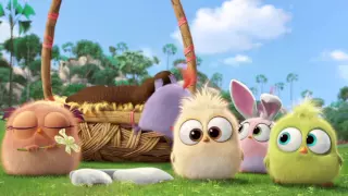 Angry Birds Hatchlings Easter Greeting HD