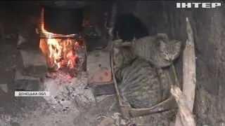 Війна на Донбасі: бойовики накрили мінометним вогнем селище Водяне